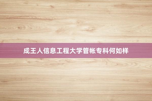 成王人信息工程大学管帐专科何如样